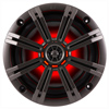 Kicker KM84LCW