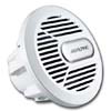 Alpine SWR-M100W